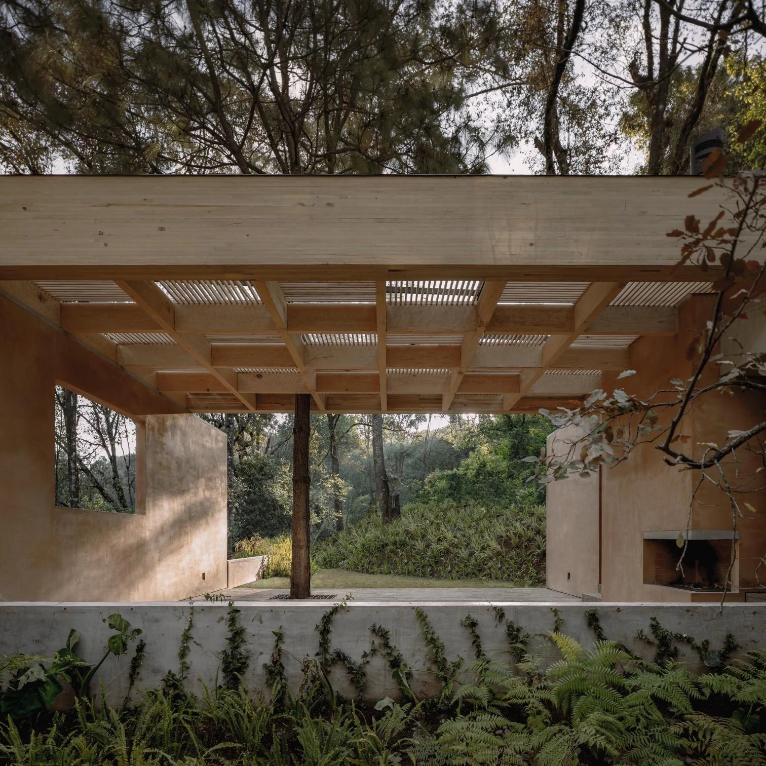 Los Helechos — Terraza con helechos y vista al bosque