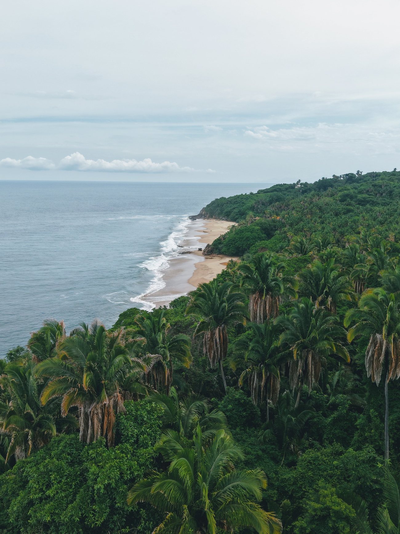 Las Bancas — Costa con palmar y playa al fondo