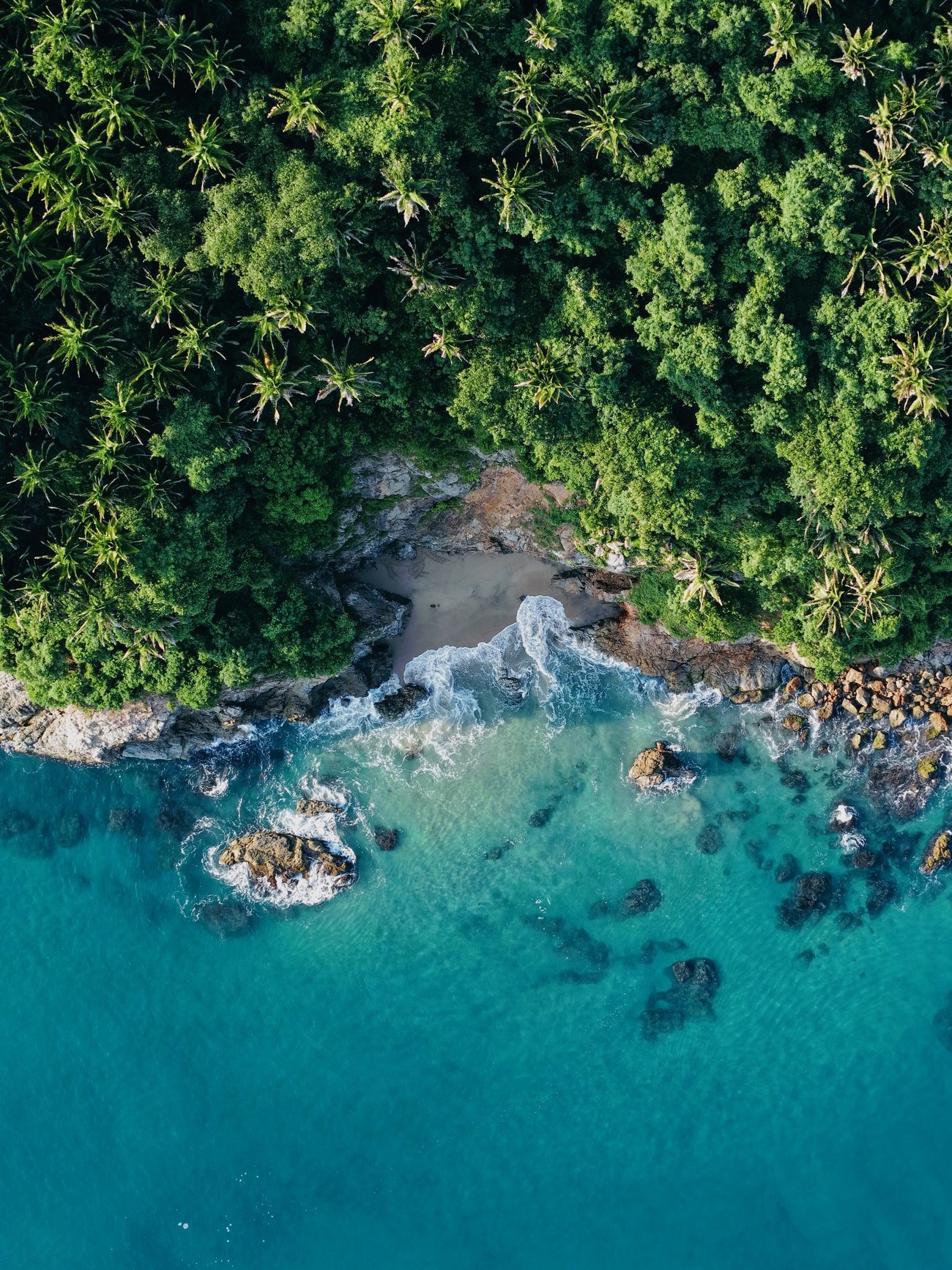 Las Bancas — Cala entre la selva y la roca