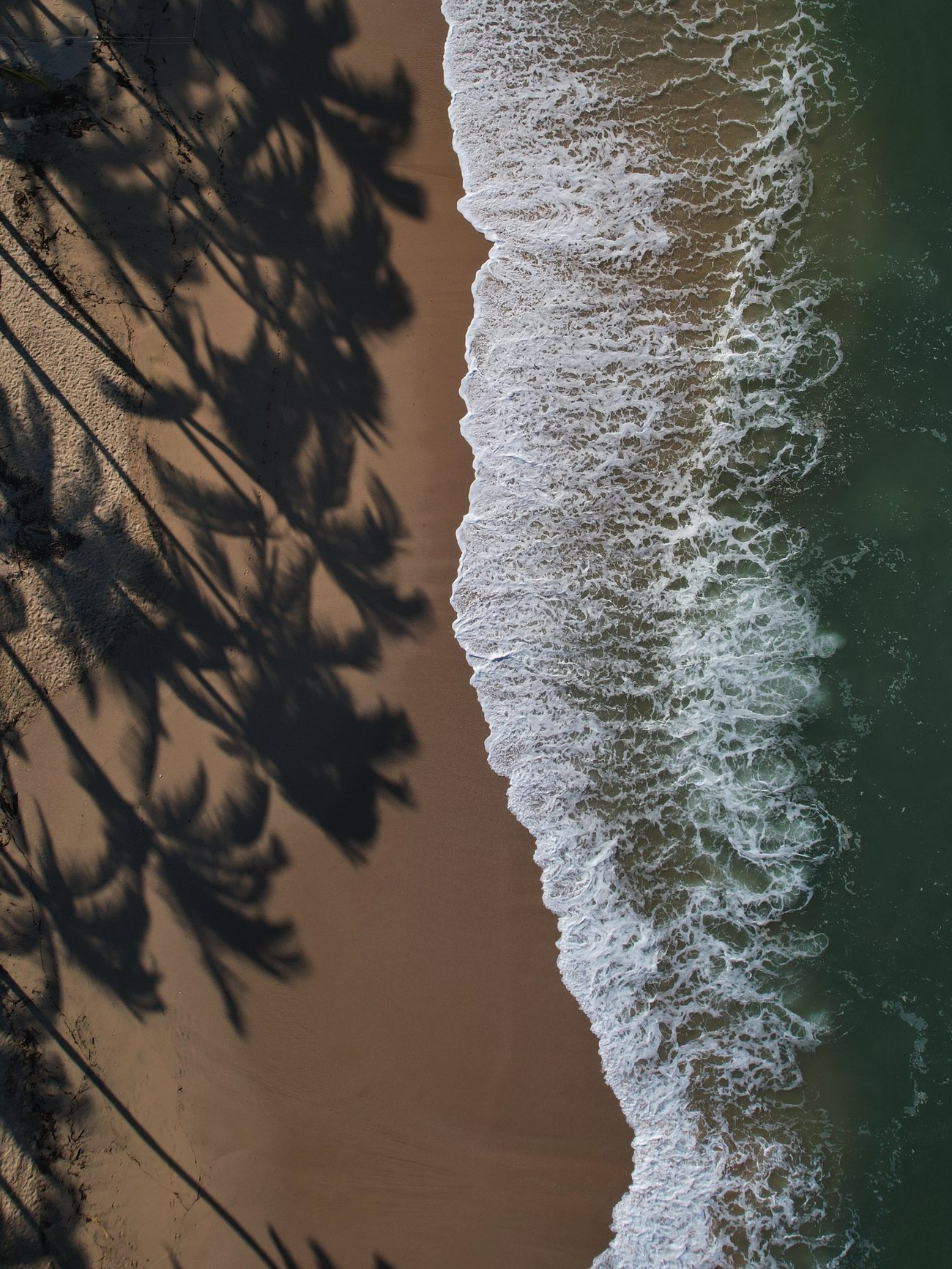 Las Bancas — Orilla con sombras de palmera