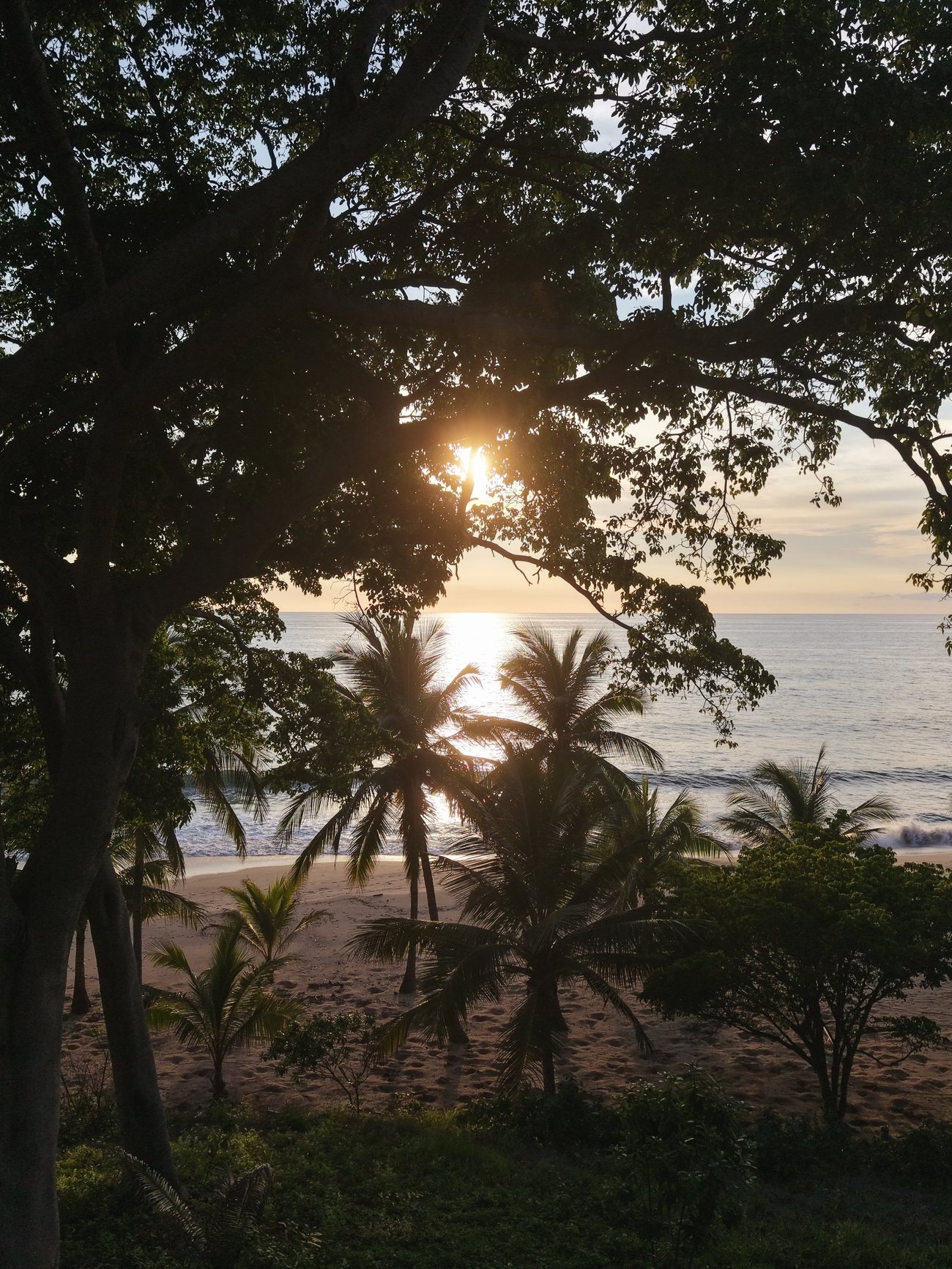 Las Bancas — Atardecer entre los árboles