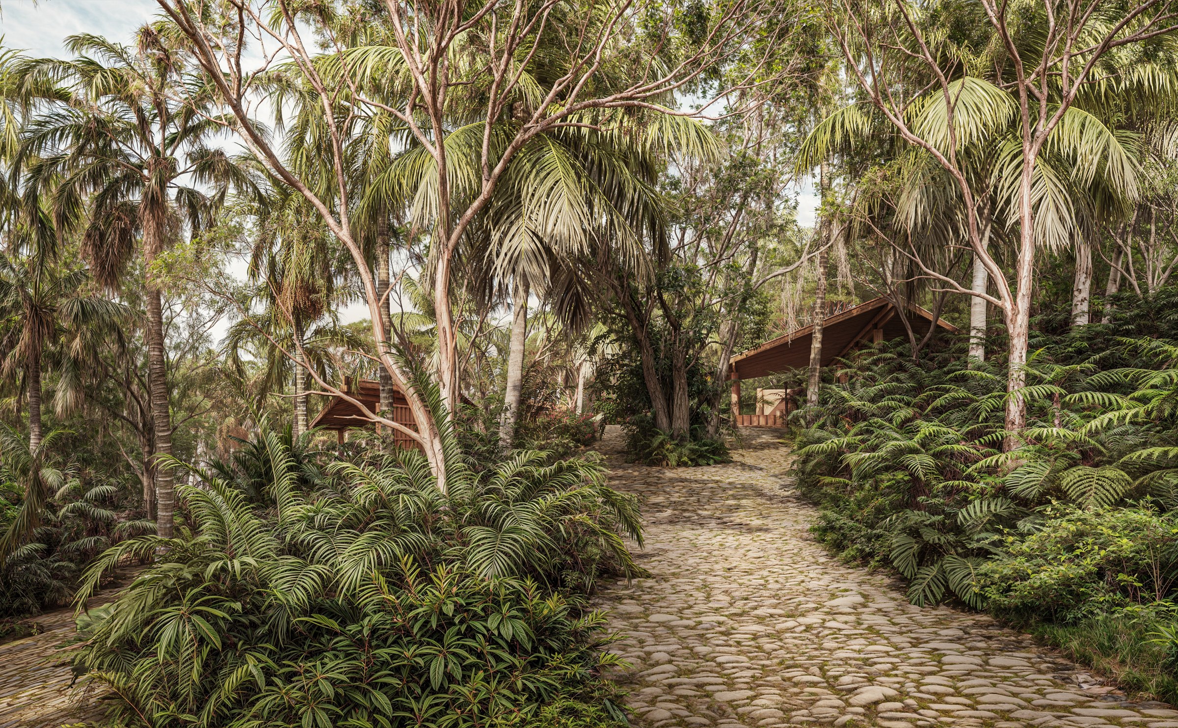 Las Bancas — Sendero de acceso